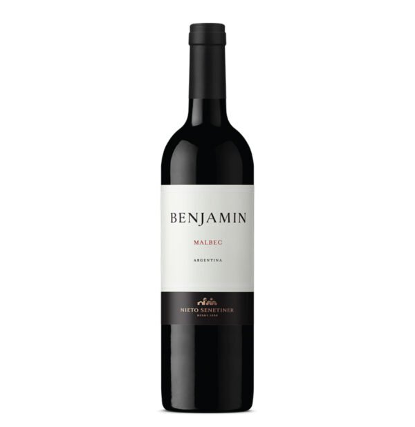 BENJAMIN NIETO MALBEC X 750CC