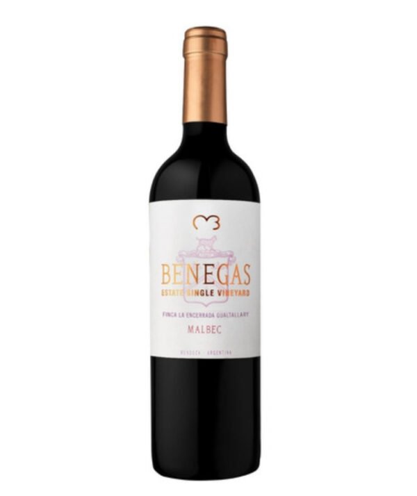 BENEGAS SV MALBEC X 750CC