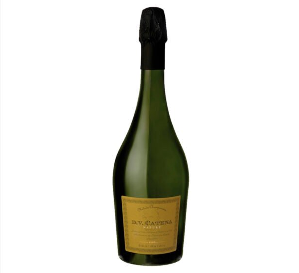 DV CATENA NATURE X 750CC